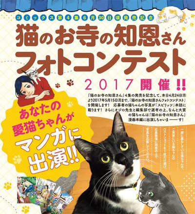 Enter Photo Contest to Have Your Cat Featured in Makoto Ojiro Manga